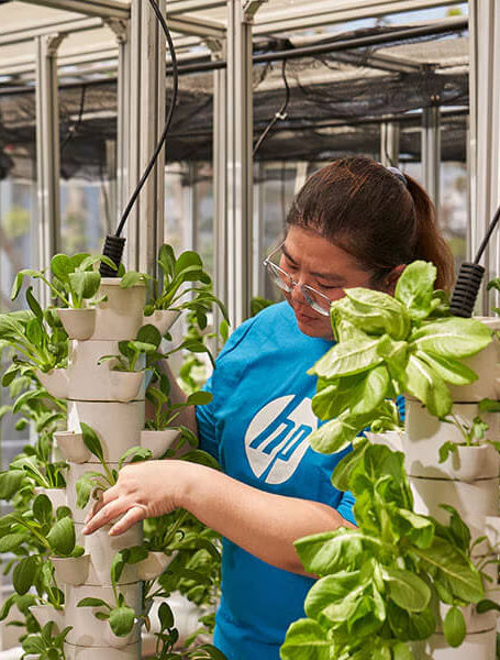 An HP employee with some plants