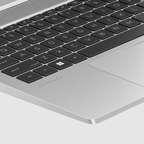 HP ProBook 455 G10 - System Active